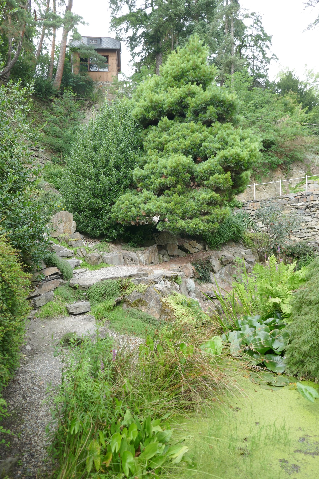 arboretum Nový Dvůr