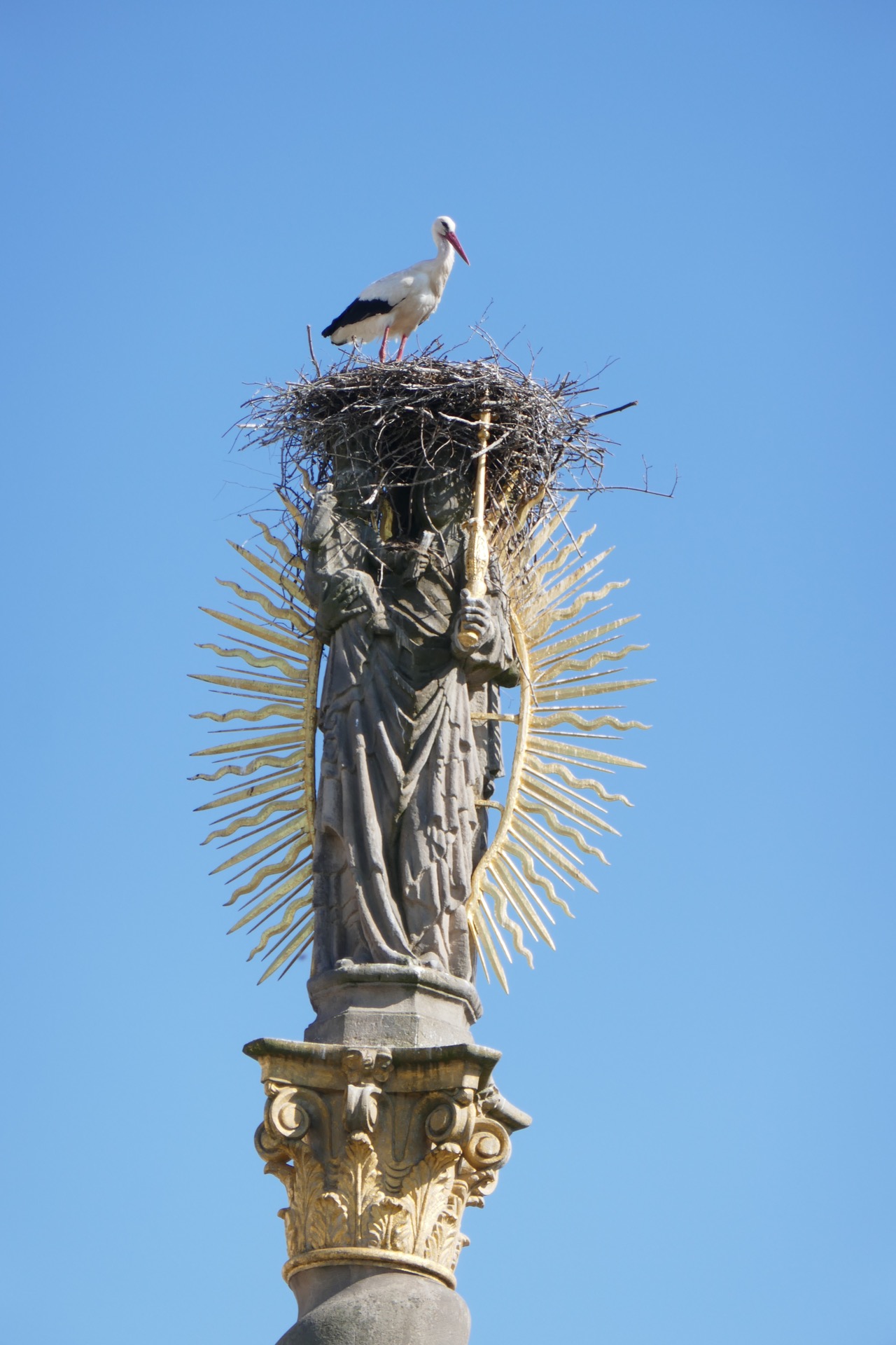 líbí se tu i čápům