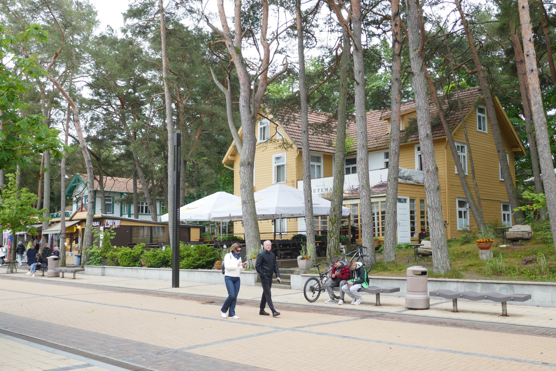 Palanga se rozkládá v borovém lese