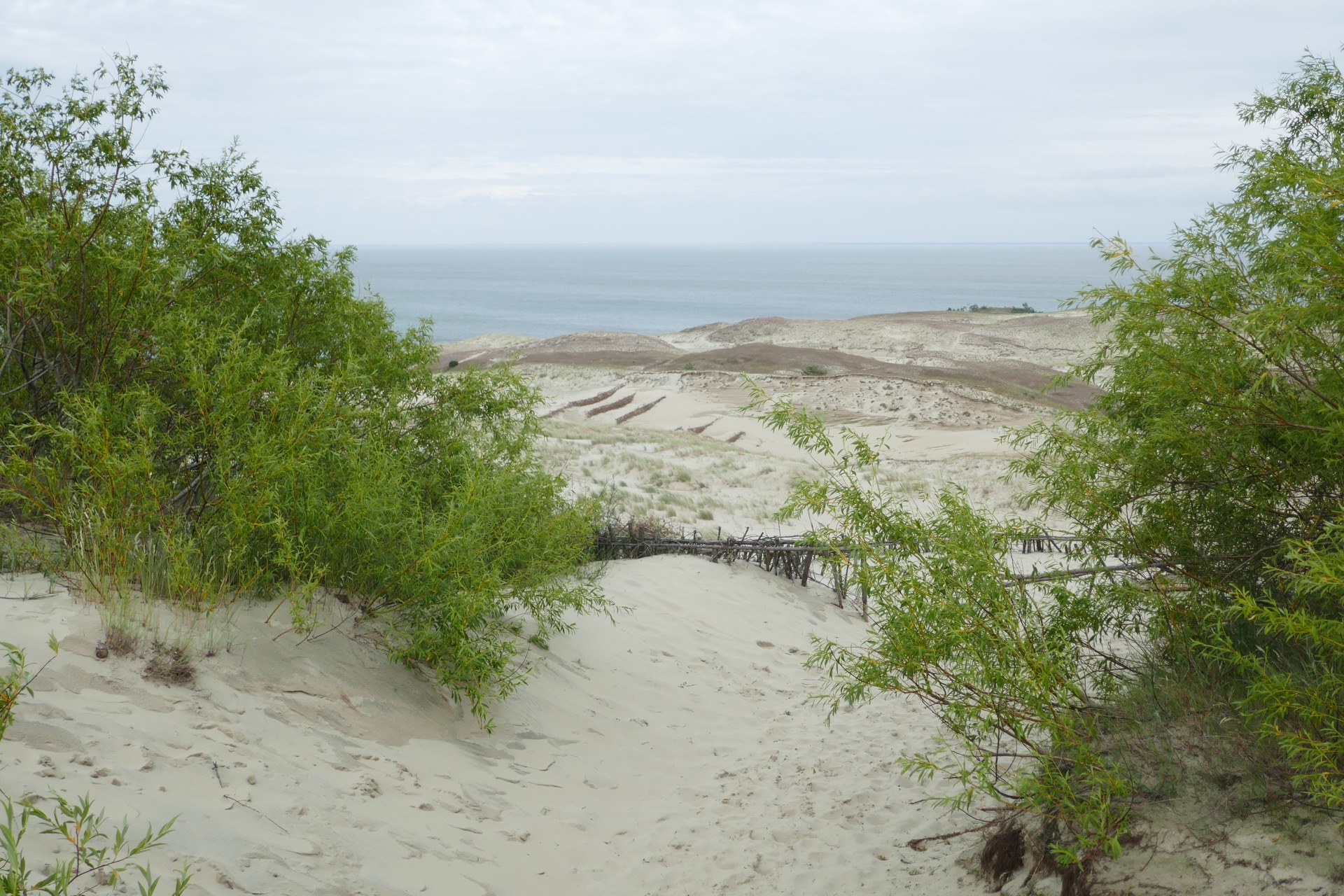 na duně Parnidis ...