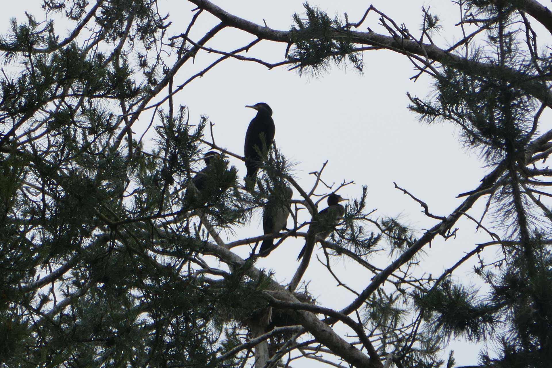 několik z několika tisíc