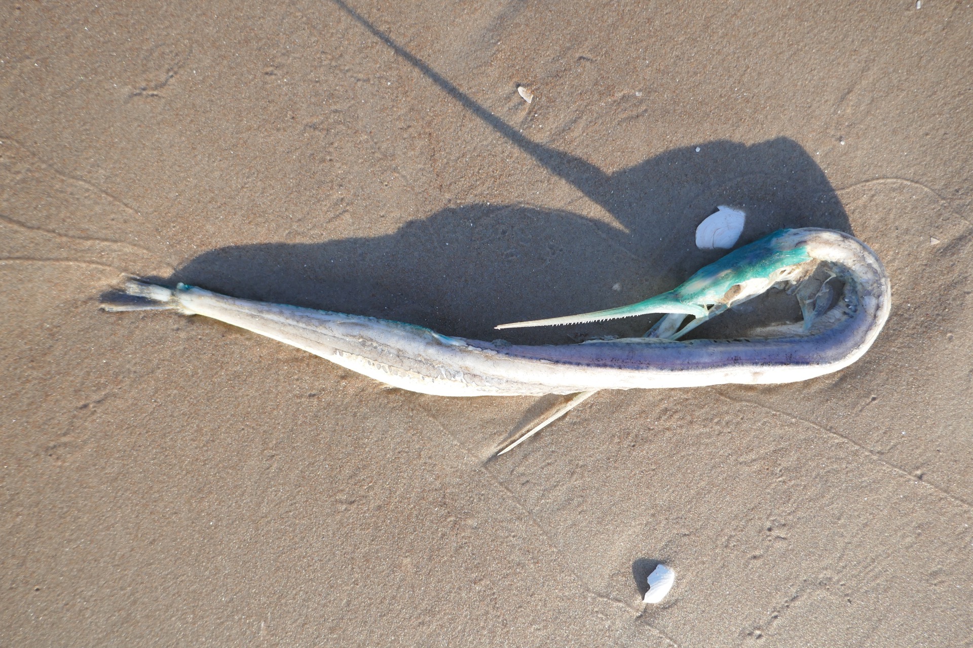 i když jak pro koho