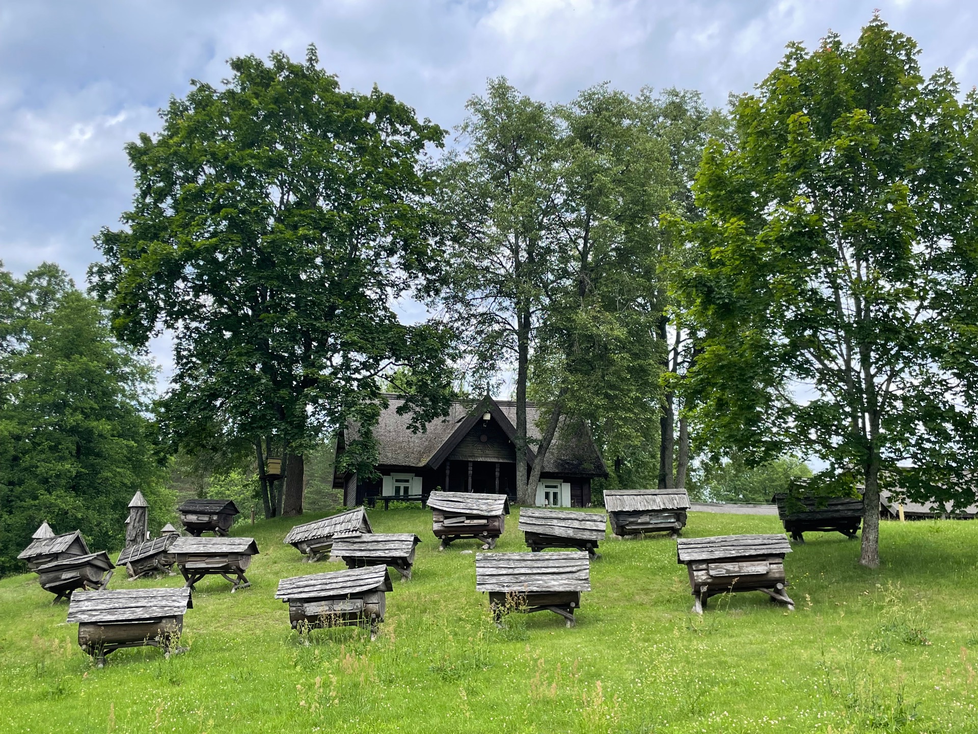 včelařské muzeum ve Stripeikiai