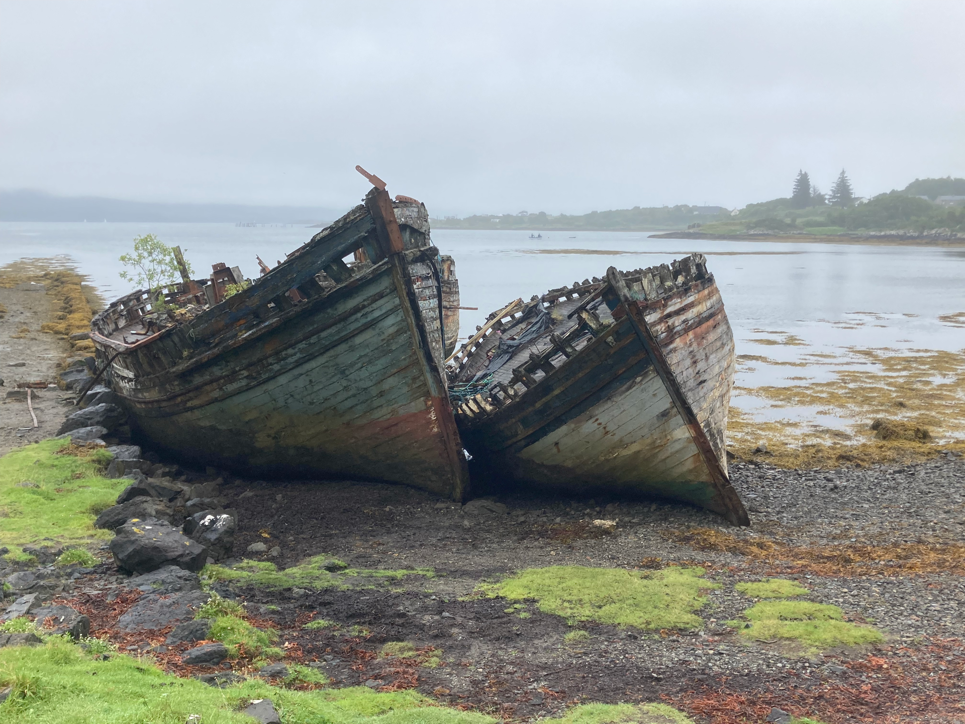 zátiší v krajině