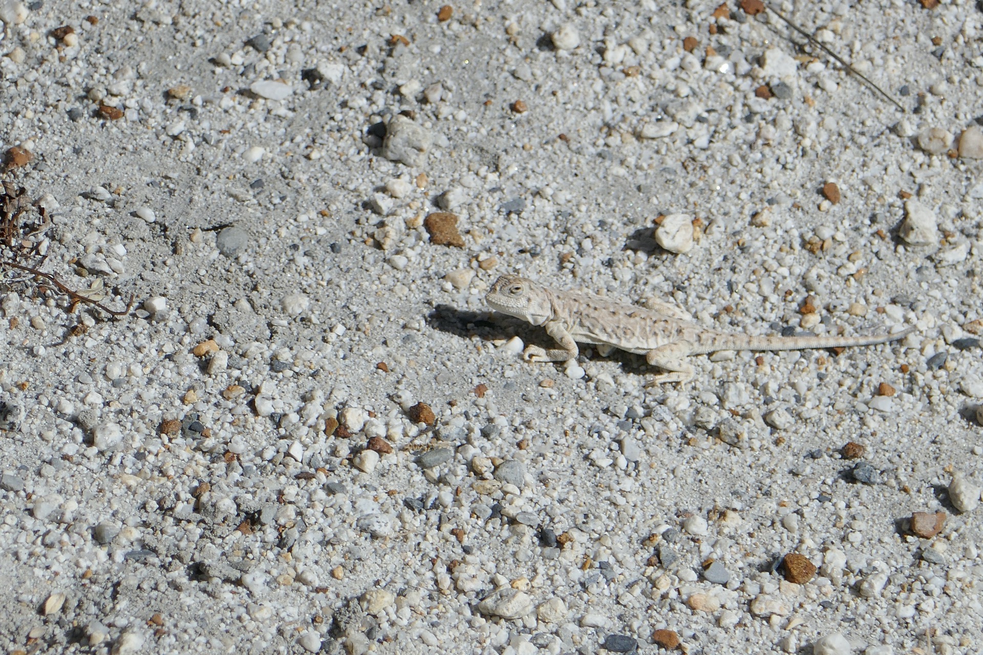 občas je tu i život