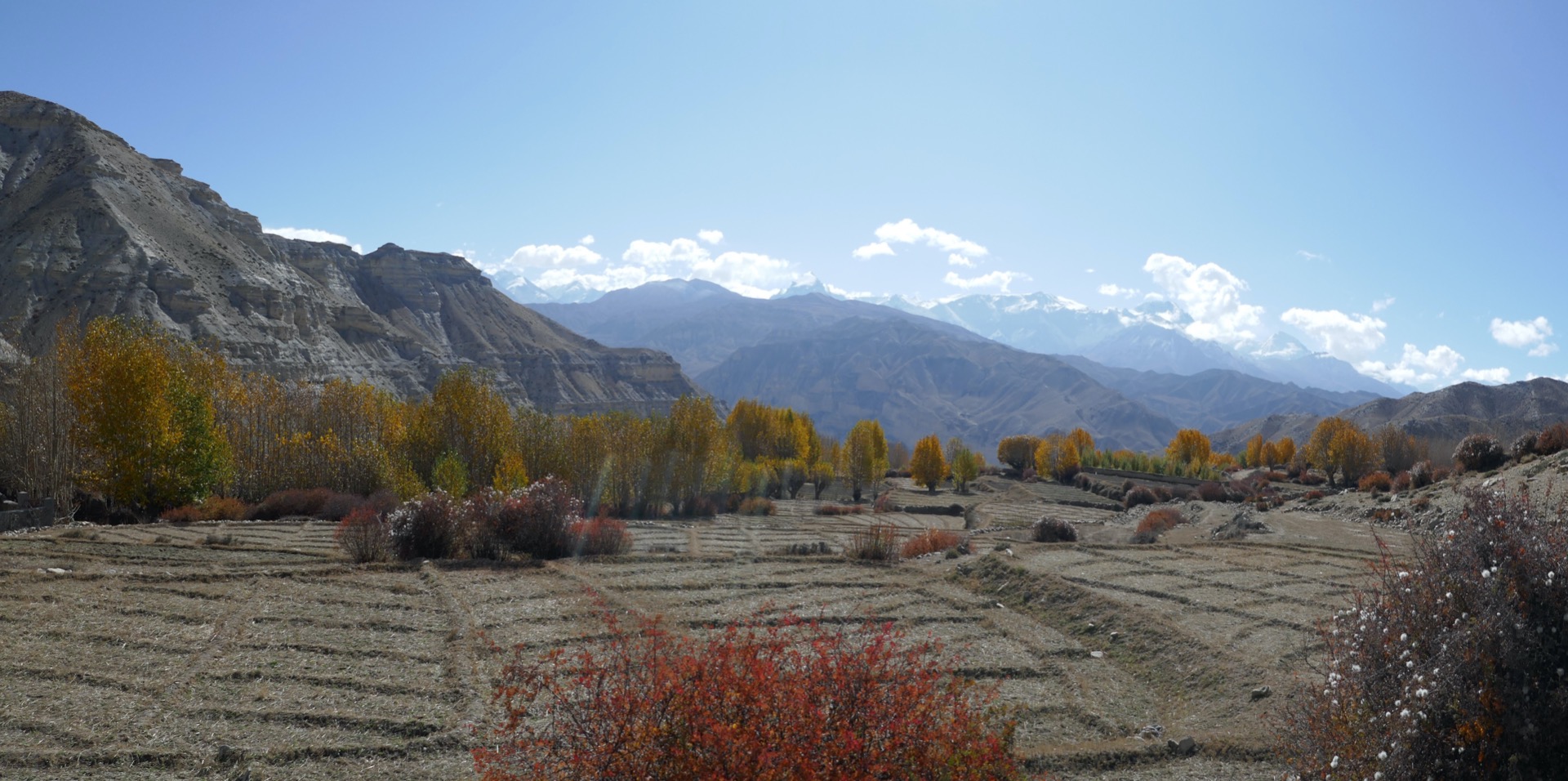 políčka vydobytá z úhoru