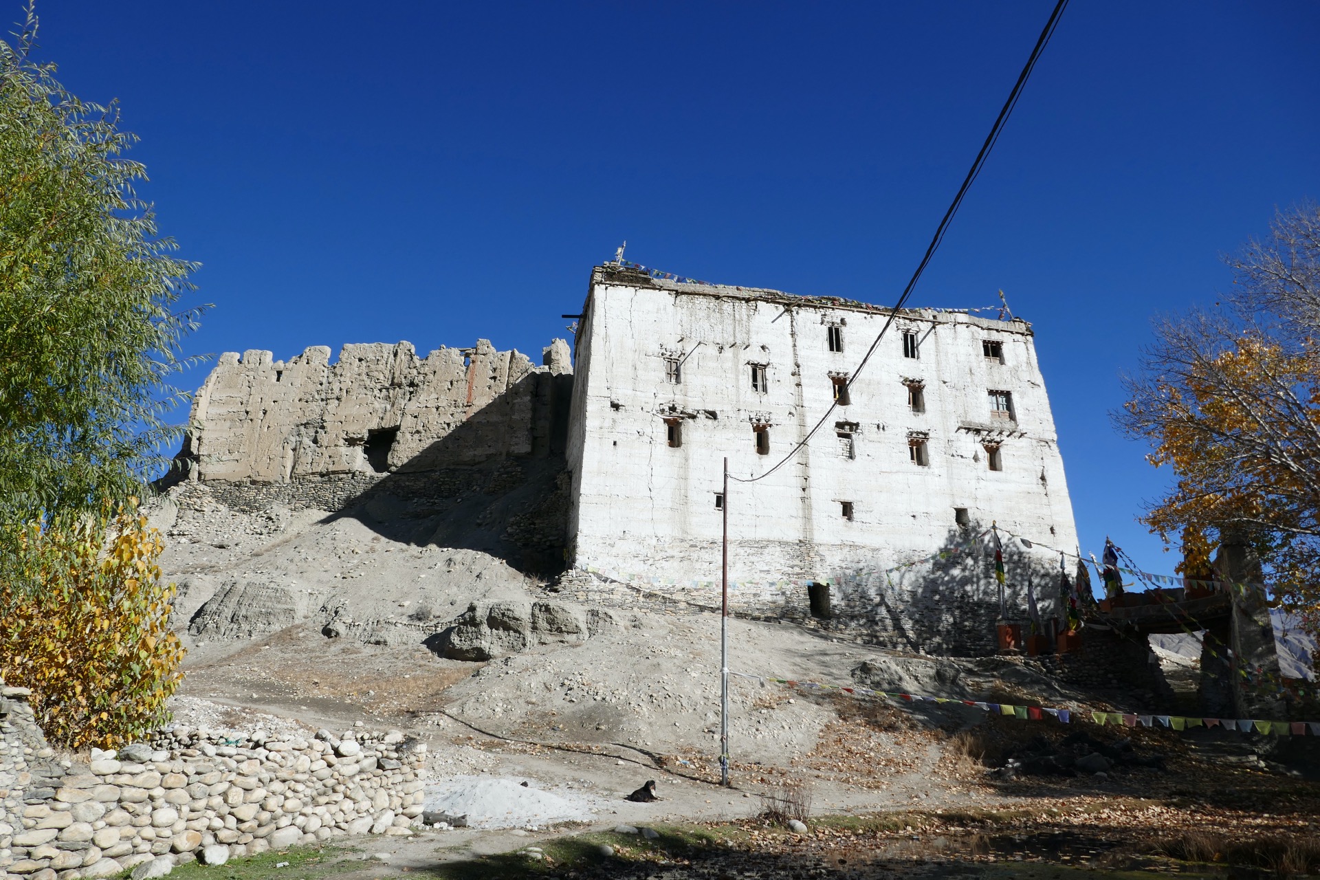 bývalý královský palác