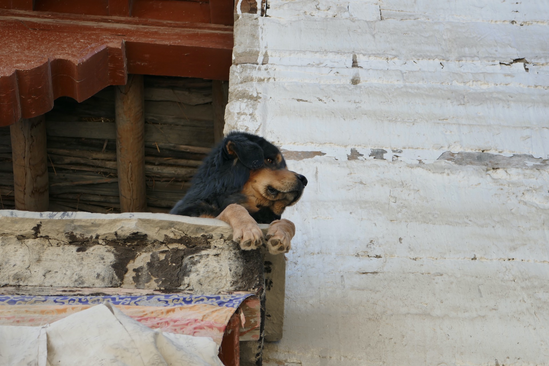 a jeho jediný obyvatel