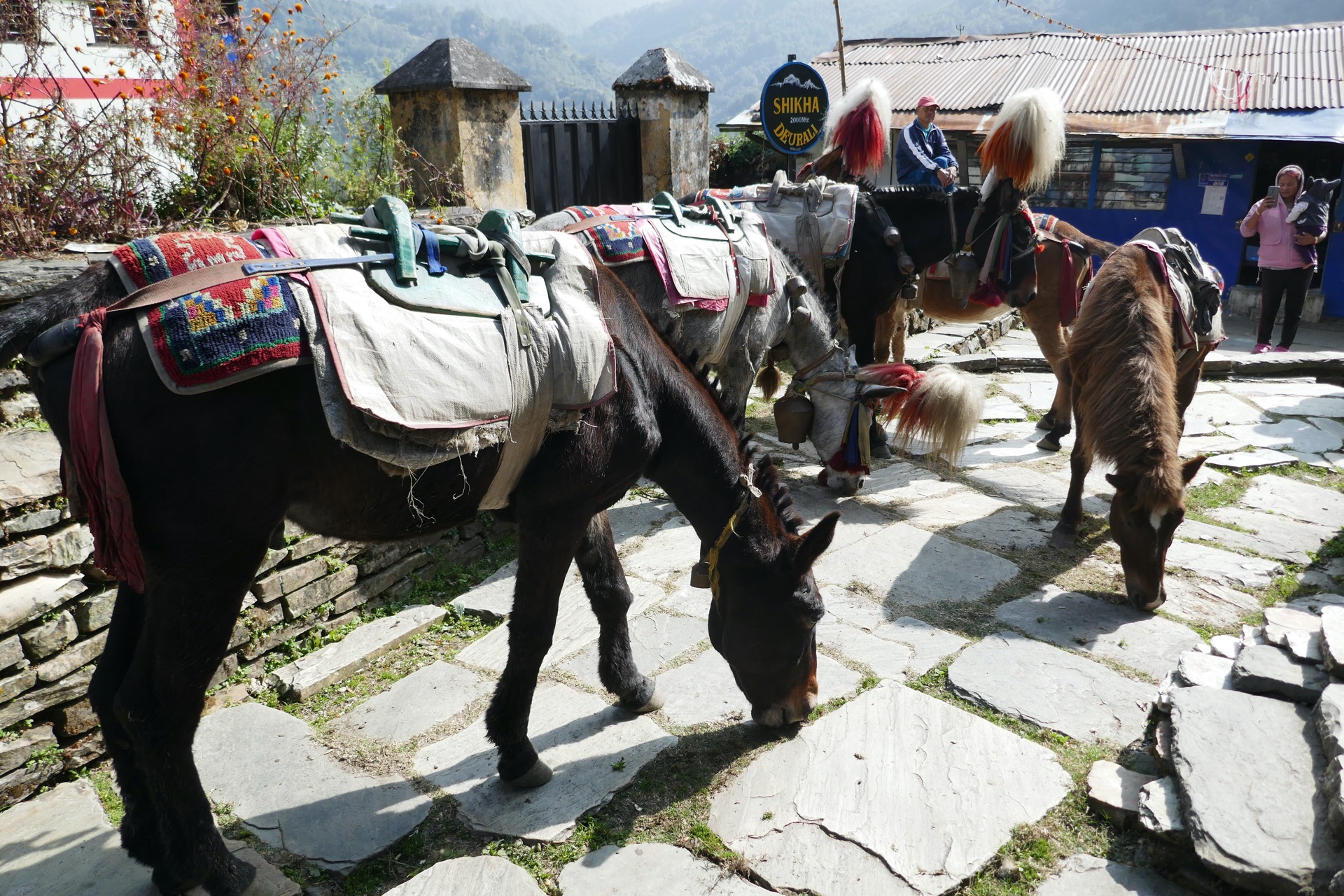 už vozí jen návštěvníky
