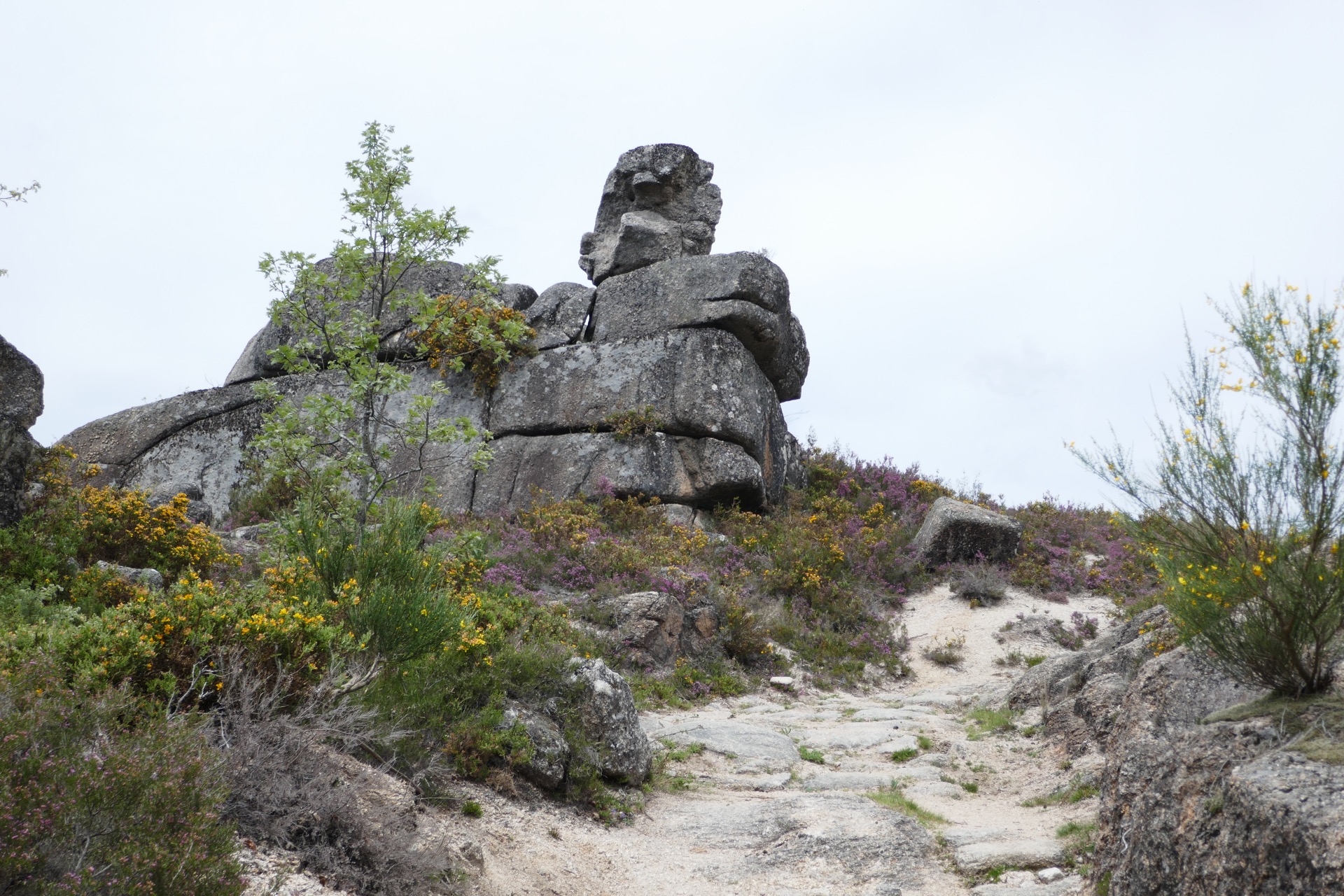 viklany všude kolem