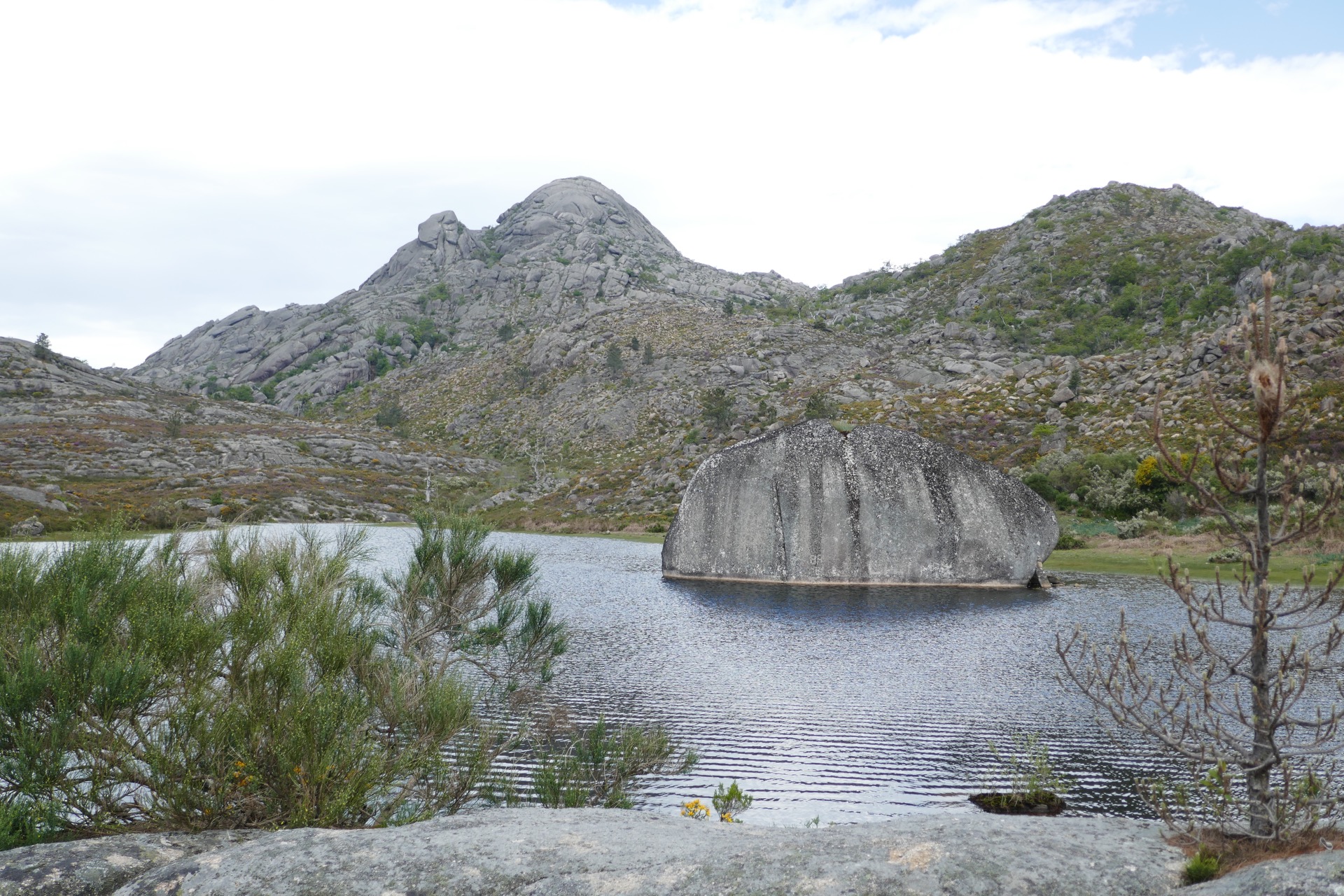 křišťálová voda