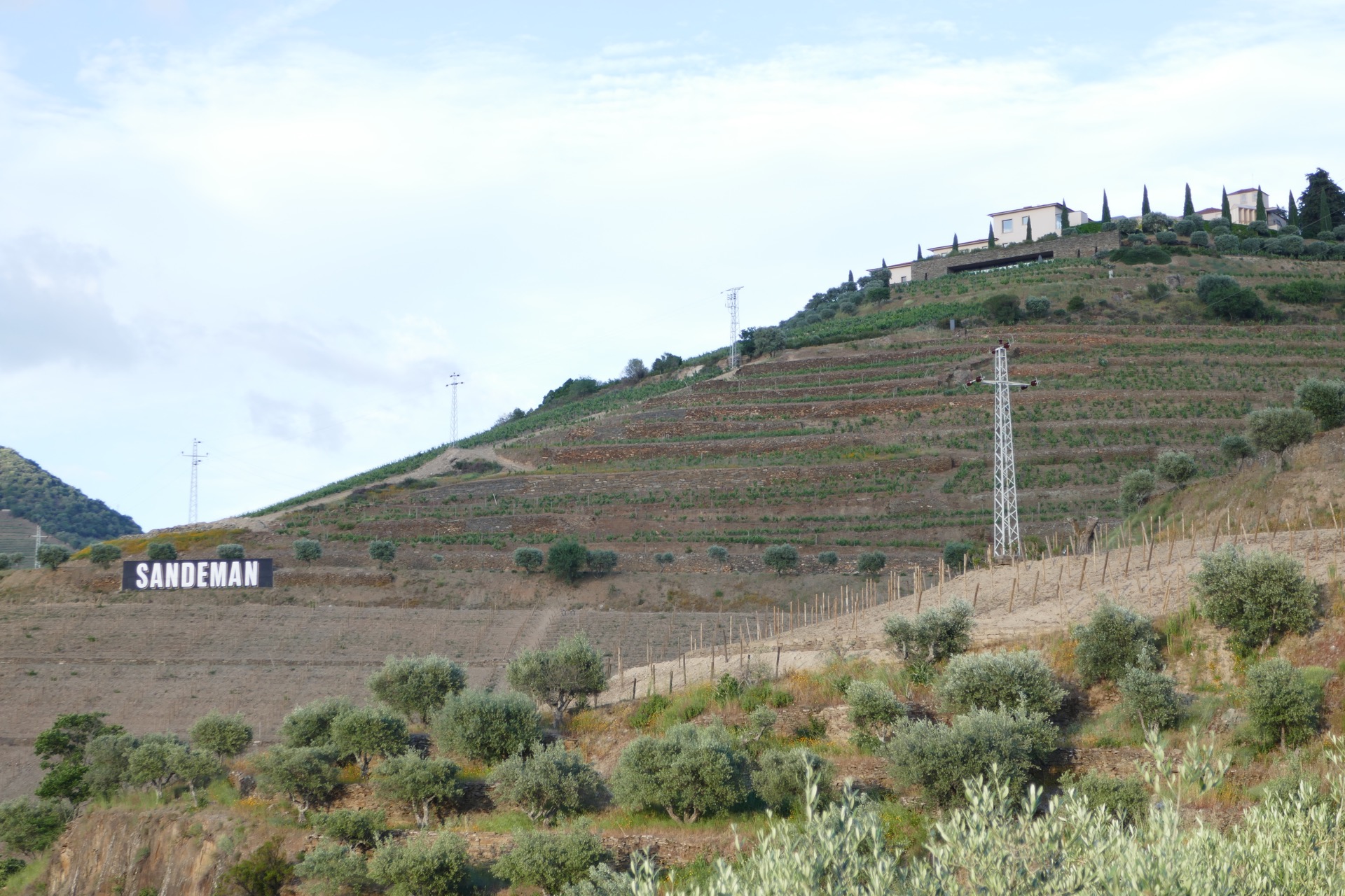 vinařství Sandeman