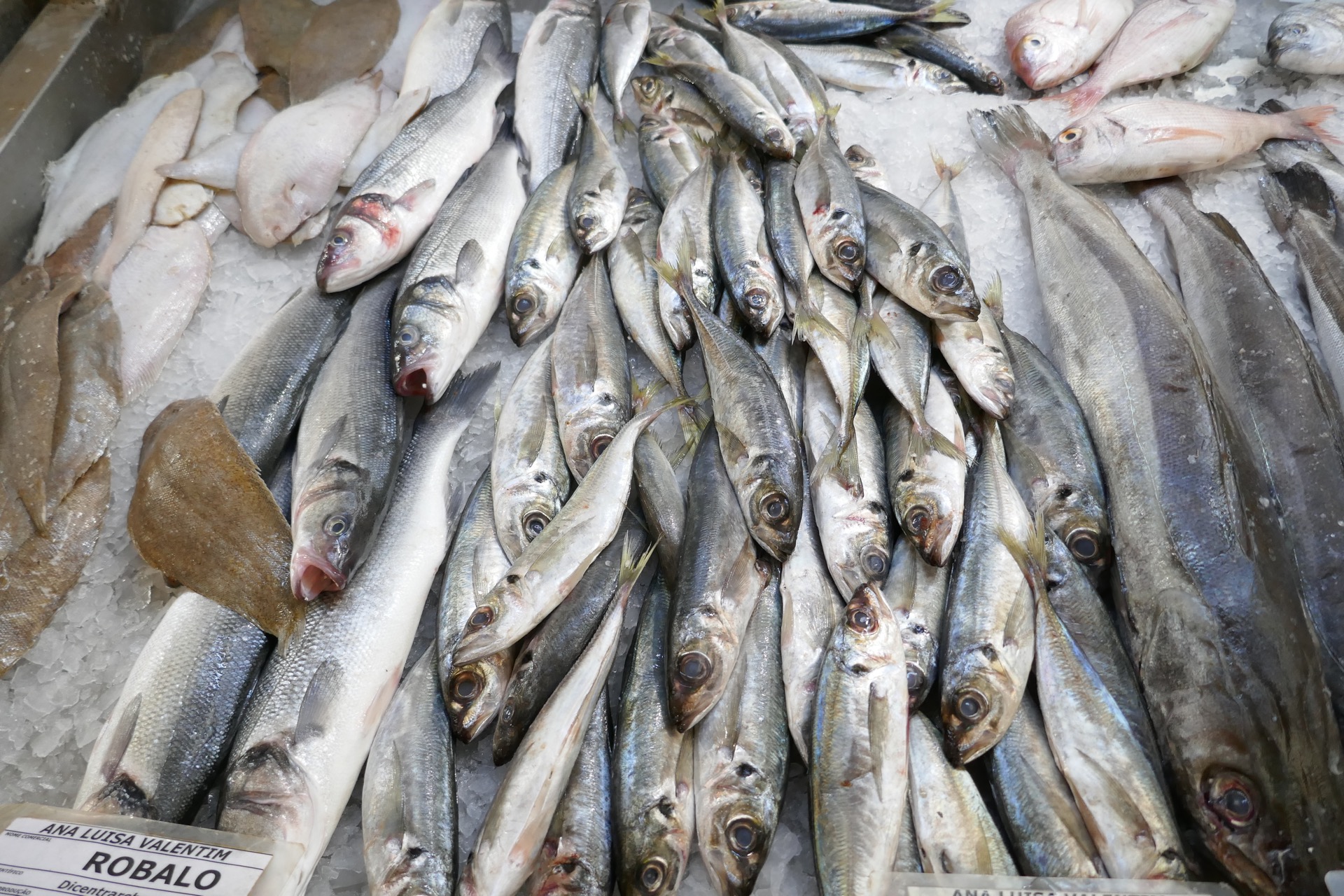 zajít si do tržnice