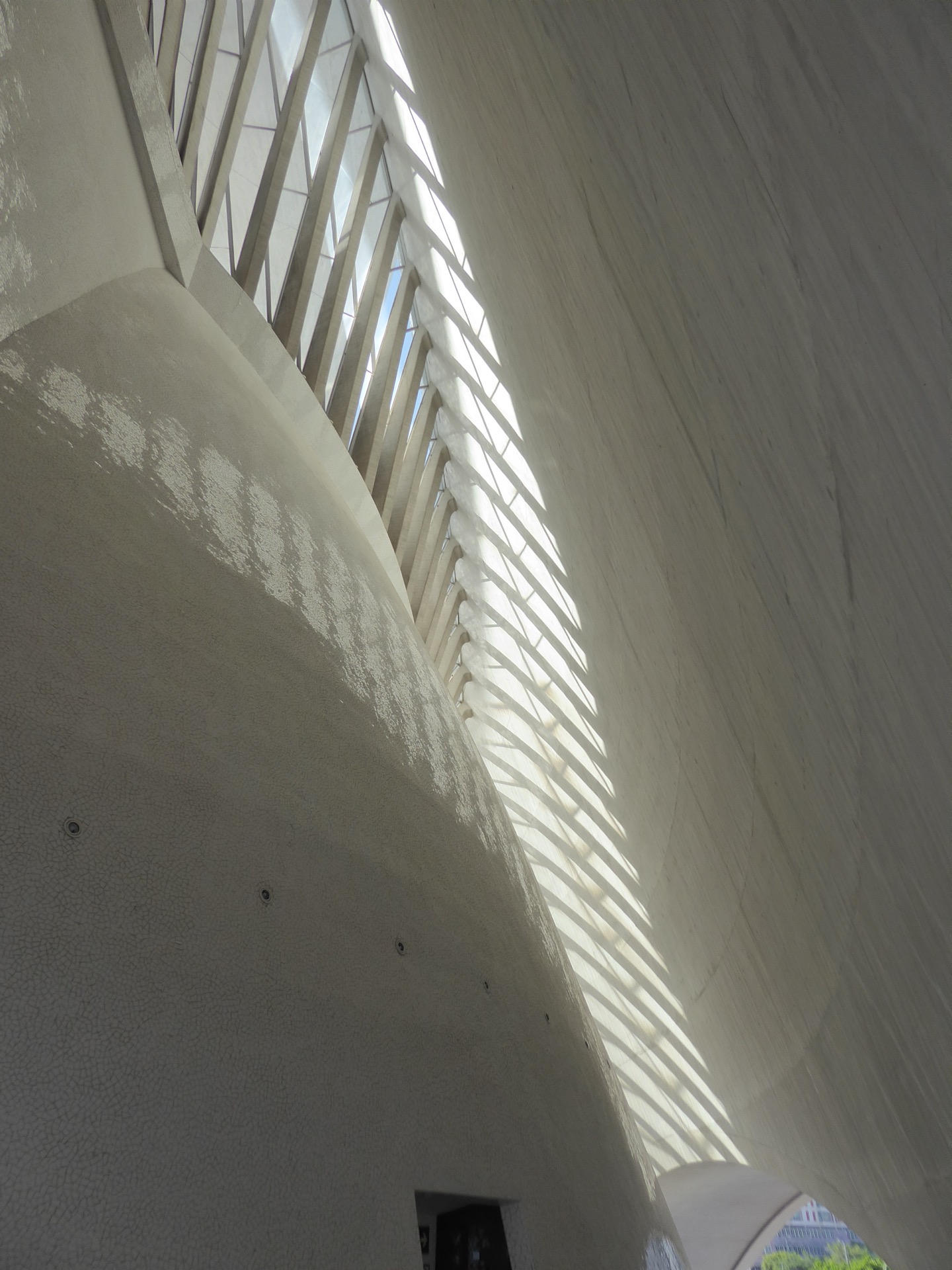 a dovnitř proniká přirozené denní světlo