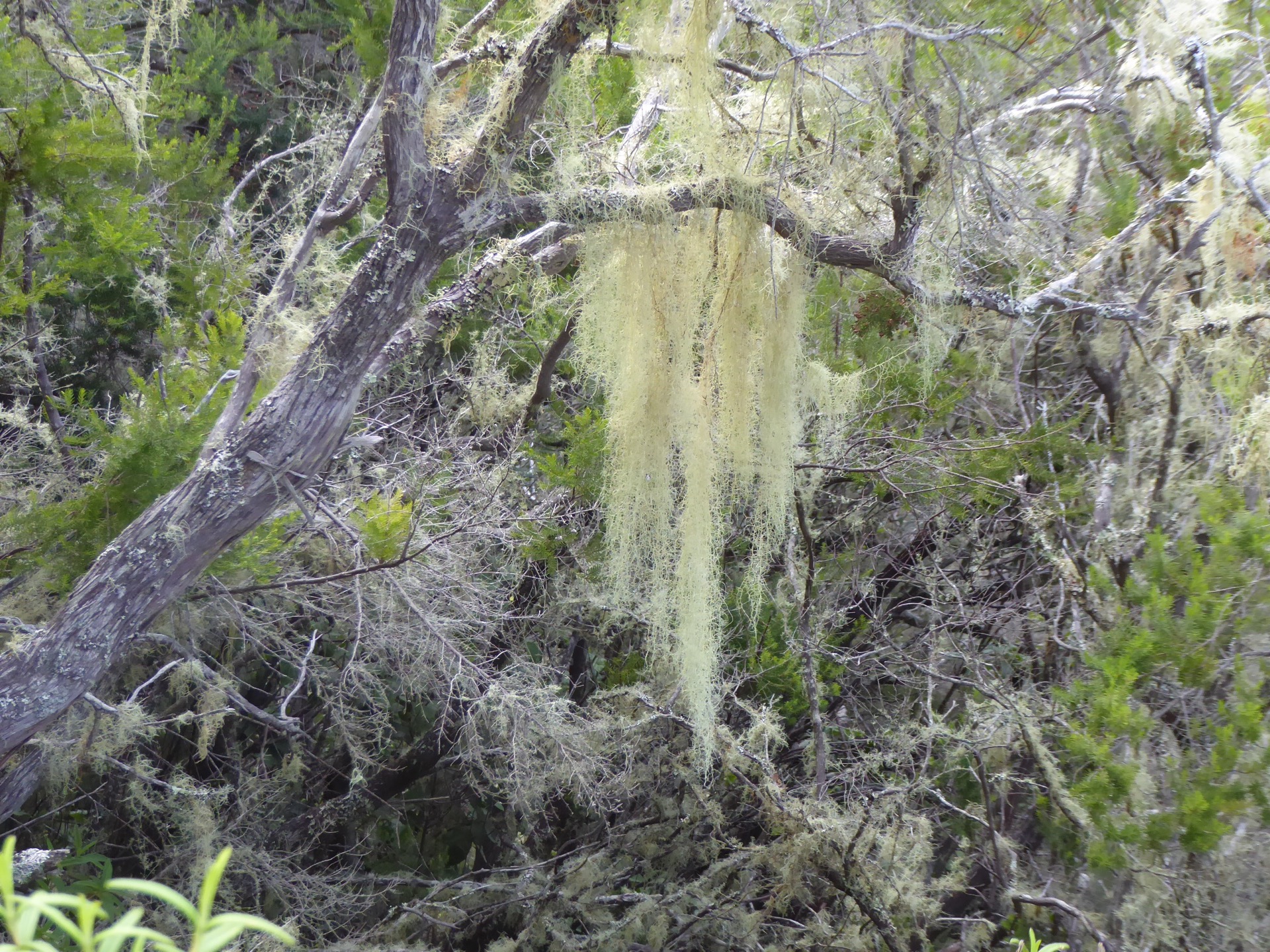 vzduch je tady čistý