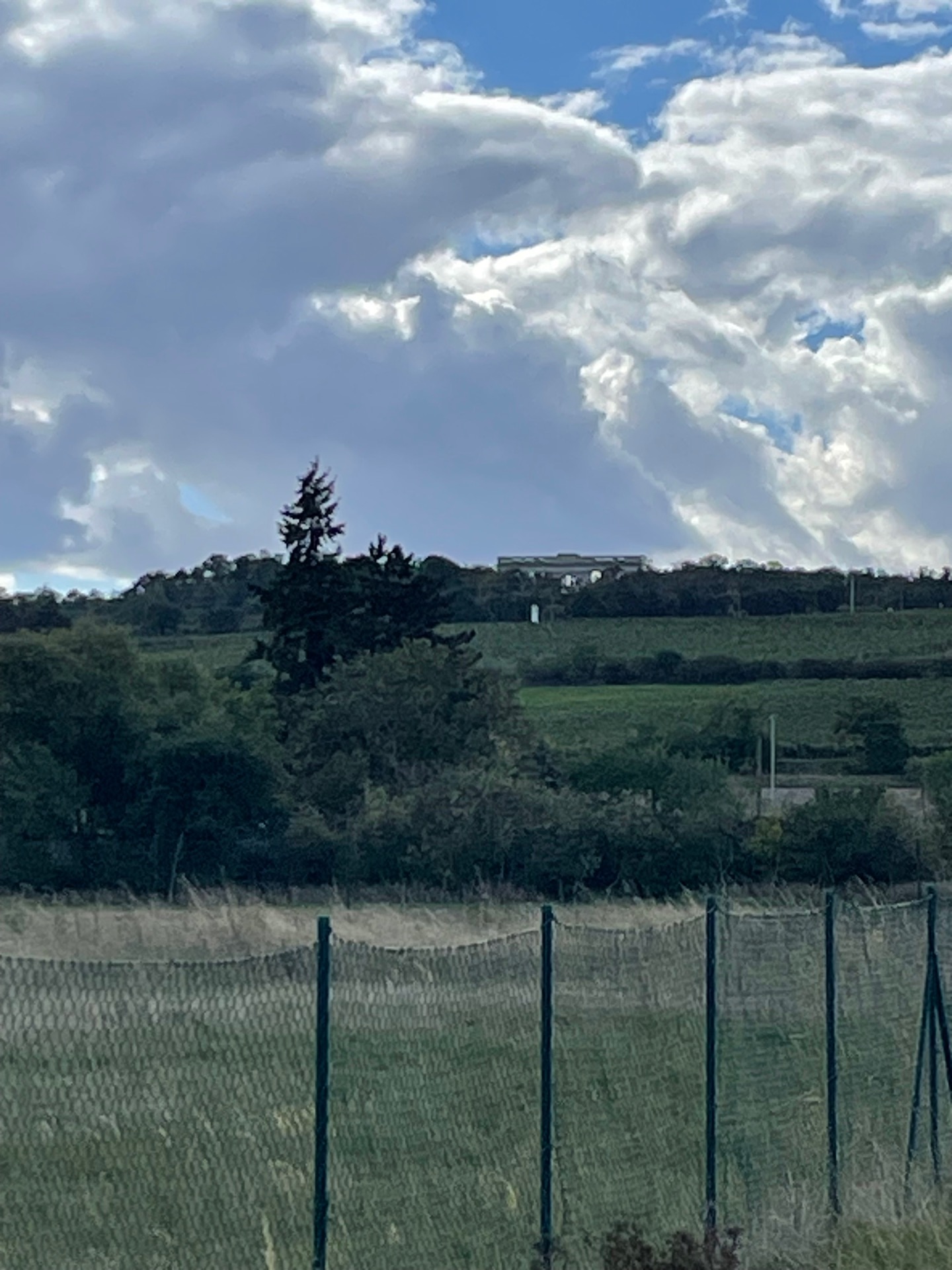 Rajstna na obzoru